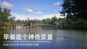 了解洗衣机尺寸一般是多少知识星球，拓展你的知识圈子