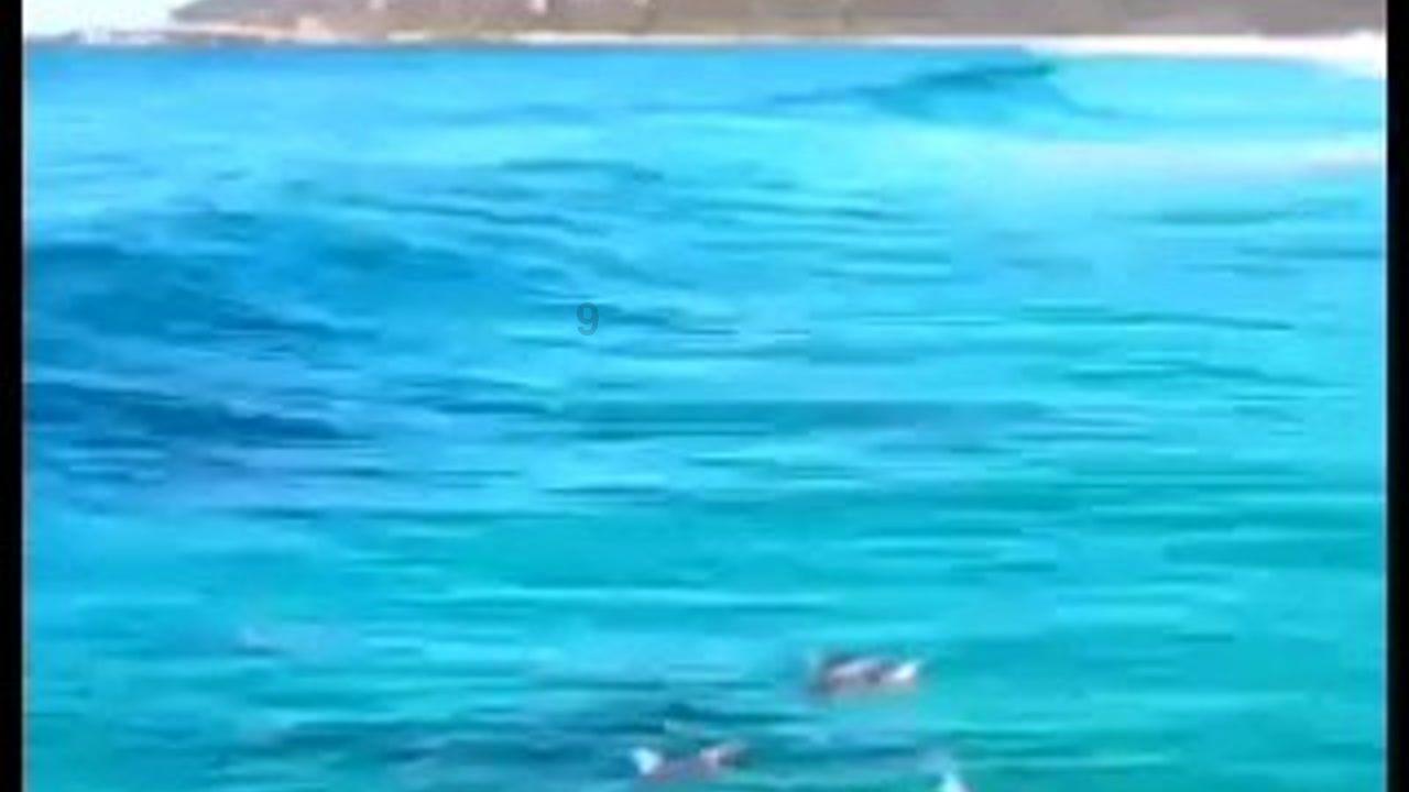 守护飞行城堡