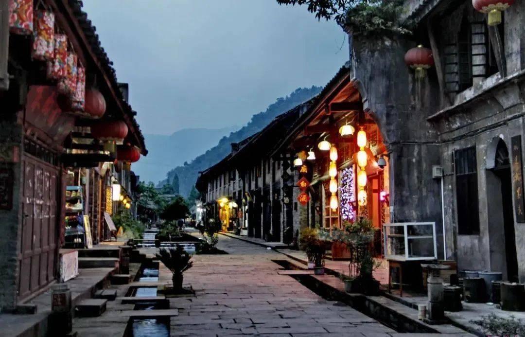 虎皮不喂养玄凤雏鸟？游戏画面